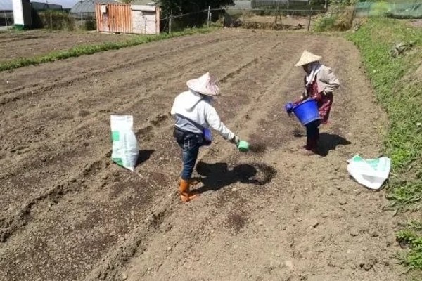 有哪些蔬菜常用的除草剂，包括乙草胺、施田补等药物