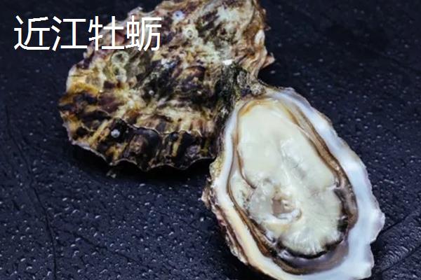 大连湾牡蛎的产地,产地在大连湾附近海域