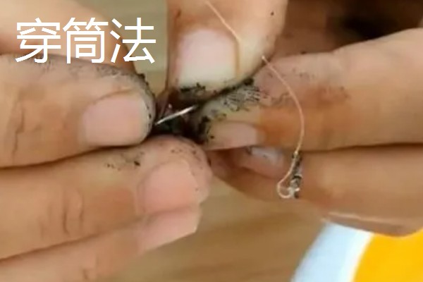 为什么用蚯蚓很难钓鲤鱼，因为其警惕性很高