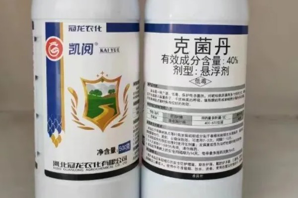 克菌丹的防治对象,可防治樱桃灰星病、草莓灰霉病等病害
