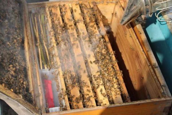 喷烟器的参考价格，价格大约20-40元左右