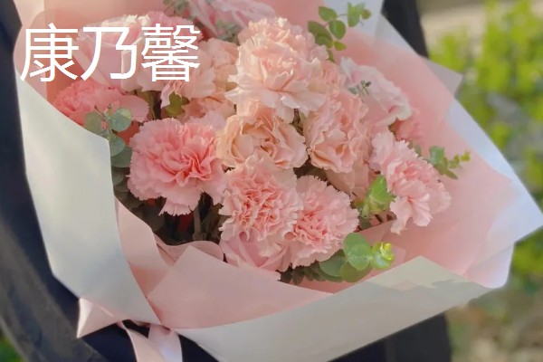 母亲生日适合赠送哪些花卉，可选择康乃馨、长寿花等品种