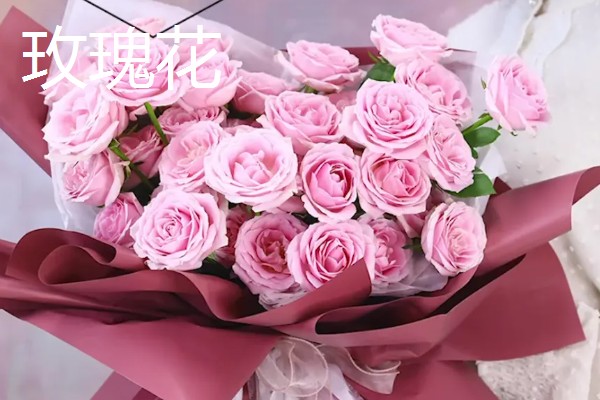 母亲生日适合赠送哪些花卉，可选择康乃馨、长寿花等品种