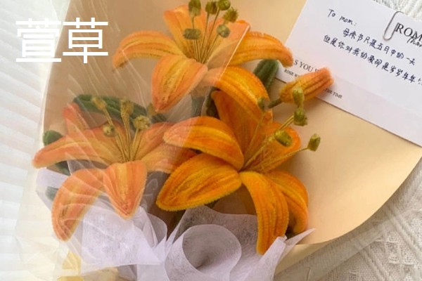 母亲生日适合赠送哪些花卉，可选择康乃馨、长寿花等品种