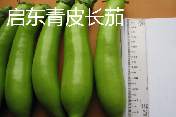 启东市的优质农产品,吕四海蜇曾荣获金海鲜奖