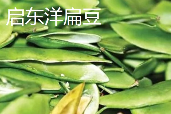 启东市的优质农产品,吕四海蜇曾荣获金海鲜奖