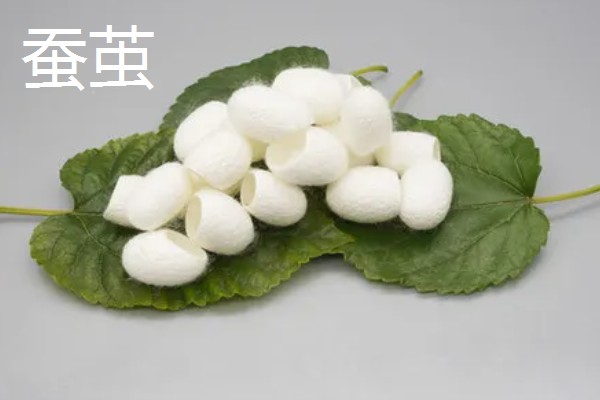 启东市的优质农产品,吕四海蜇曾荣获金海鲜奖