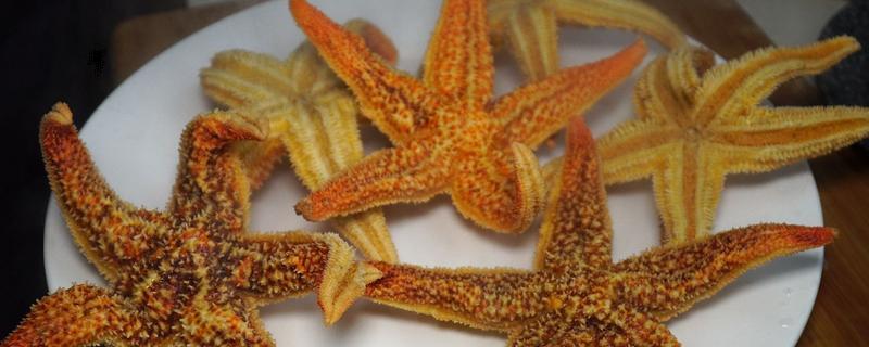 海星怎么吃，以下烹饪方法值得尝试