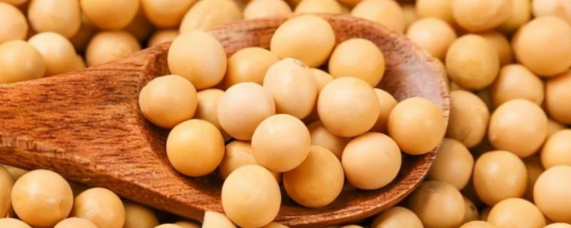 垦豆161大豆种子简介，选择中等以上肥力地块种植